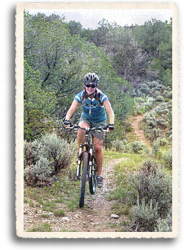 A Taos New Mexico mountain biker enjoys a single track ride through high desert sage, pinon and wildflowers in Northern New Mexico.