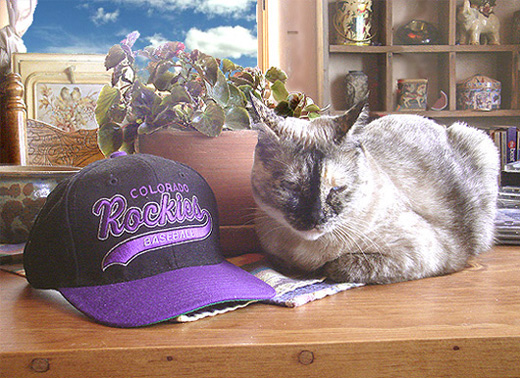 Sadie Lovebug, and the staff of Taos and Santa Fe Unlimited (not so) patiently await Spring Training...