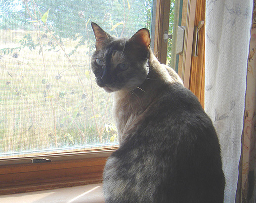 Sadie Lovebug anticipates this year's Birdfest